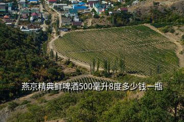 燕京精典鮮啤酒500毫升8度多少錢一瓶