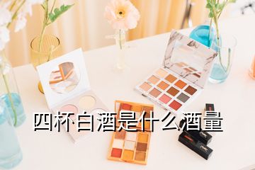 四杯白酒是什么酒量