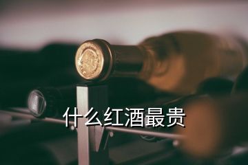 什么紅酒最貴