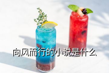 向風(fēng)而行的小說是什么