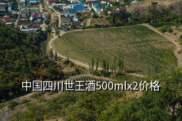 中國四川世王酒500mlx2價格