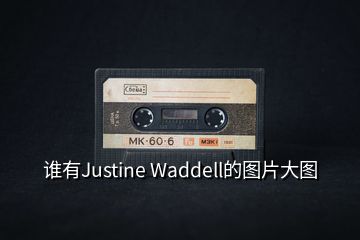 誰(shuí)有Justine Waddell的圖片大圖