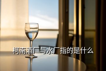 柯南酒廠與水廠指的是什么