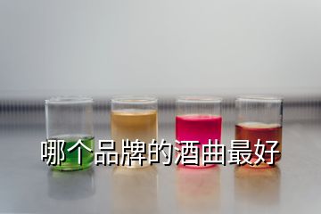 哪個(gè)品牌的酒曲最好