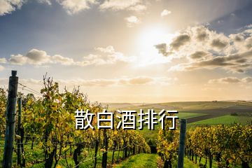 散白酒排行