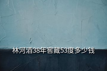 林河酒38年窖藏53度多少錢(qián)