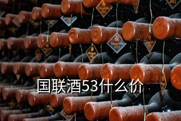 國聯(lián)酒53什么價