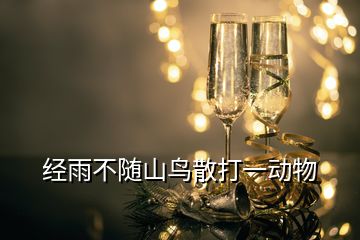 經(jīng)雨不隨山鳥(niǎo)散打一動(dòng)物