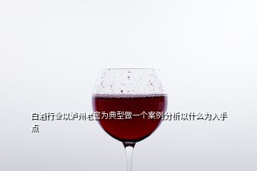 白酒行業(yè)以瀘州老窖為典型做一個(gè)案例分析以什么為入手點(diǎn)