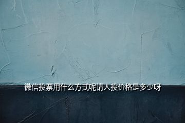 微信投票用什么方式呢請人投價(jià)格是多少呀