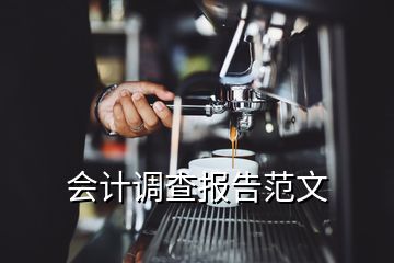 會計調查報告范文