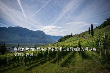 高粱酒 烤酒的程序步驟有沒(méi)哪位老哥知道的啊 從高粱到 出酒謝