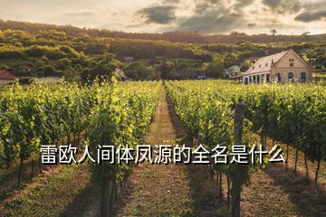 雷歐人間體鳳源的全名是什么