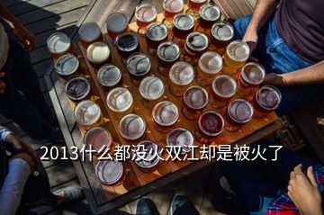 2013什么都沒(méi)火雙江卻是被火了