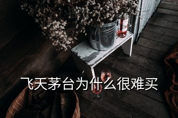 飛天茅臺(tái)為什么很難買