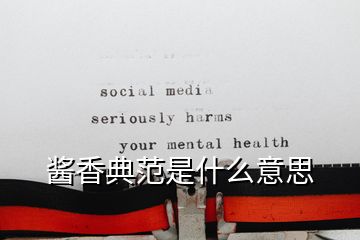 醬香典范是什么意思