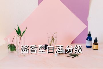 醬香型白酒 分級