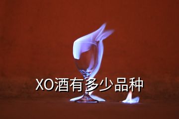 XO酒有多少品種