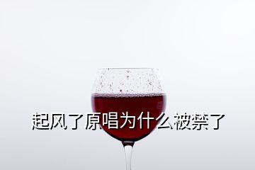 起風了原唱為什么被禁了