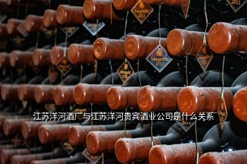 江蘇洋河酒廠與江蘇洋河貴賓酒業(yè)公司是什么關系