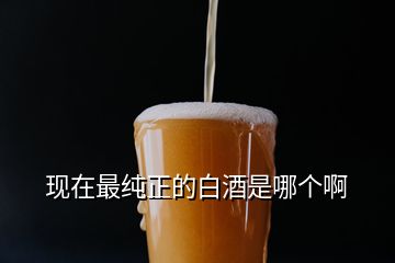 現(xiàn)在最純正的白酒是哪個(gè)啊