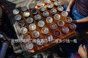 我想問喝兩口糧食酒四十二度多少錢一瓶