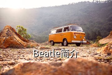 Beatle簡(jiǎn)介