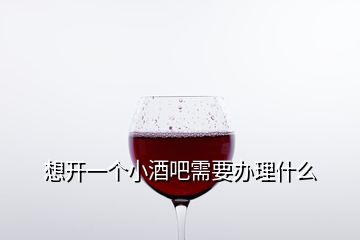 想開一個小酒吧需要辦理什么