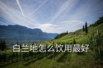 白蘭地怎么飲用最好