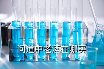 問道中老酒在哪買