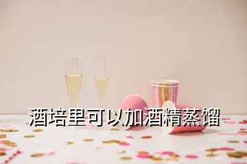 酒培里可以加酒精蒸餾