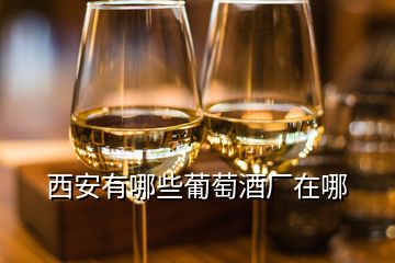 西安有哪些葡萄酒廠在哪