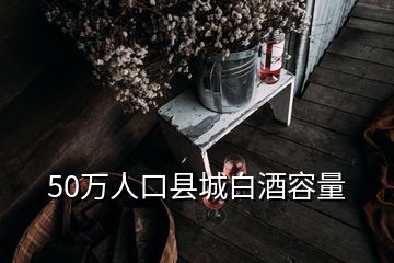 50萬(wàn)人口縣城白酒容量
