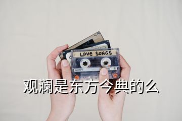 觀瀾是東方今典的么