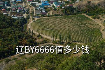 遼BY6666值多少錢(qián)