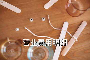 營業(yè)費用明細