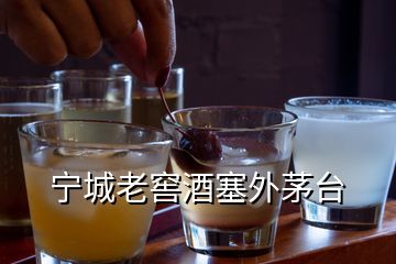 寧城老窖酒塞外茅臺(tái)