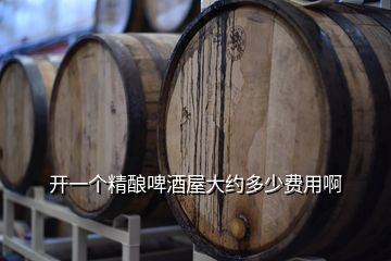 開(kāi)一個(gè)精釀啤酒屋大約多少費(fèi)用啊