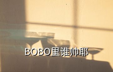 BOBO里誰帥耶