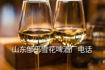 山東鄒平雪花啤酒廠電話