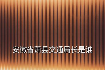 安徽省蕭縣交通局長是誰