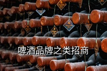 啤酒品牌之類招商