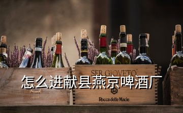 怎么進獻縣燕京啤酒廠