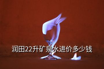 潤田22升礦泉水進價多少錢