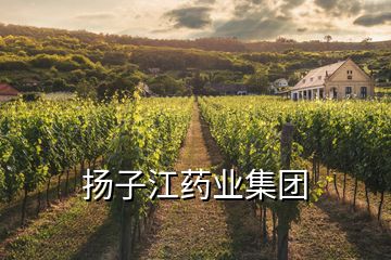揚子江藥業(yè)集團