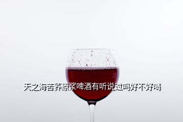 天之?？嗍w原漿啤酒有聽說過嗎好不好喝