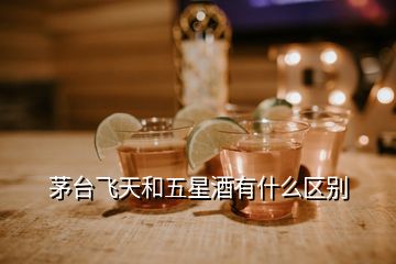 茅臺(tái)飛天和五星酒有什么區(qū)別