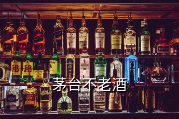 茅臺(tái)不老酒