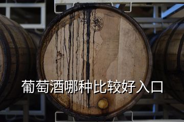 葡萄酒哪種比較好入口