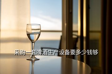 采購(gòu)一套啤酒生產(chǎn)設(shè)備要多少錢夠